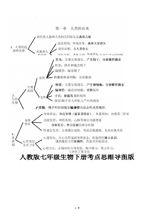 人教版七年级生物下册考点思维导图版 第三章人体的呼吸 第四章人体的