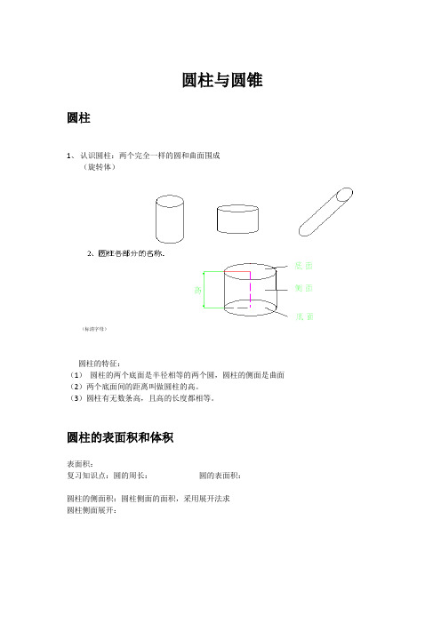 圆柱的特征(1)圆柱的两个底面是半径相等的两个圆,圆柱的侧面是曲面