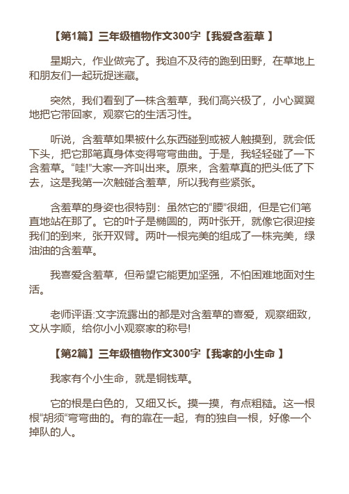 【第1篇】三年级植物作文300字【我爱含羞草 】 星期六,作业做完了.