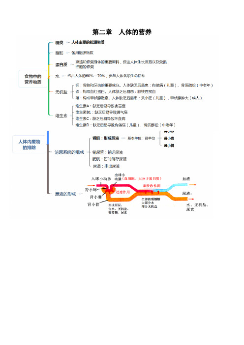  人教版七年级生物下册考点思维导