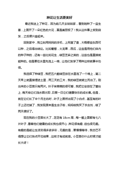 六年级作文:种花让生活更美好作文
