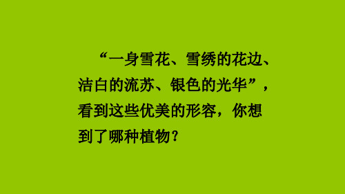 "一身雪花,雪绣的花边 洁白的流苏,银色的光华 看到这些优美的形容