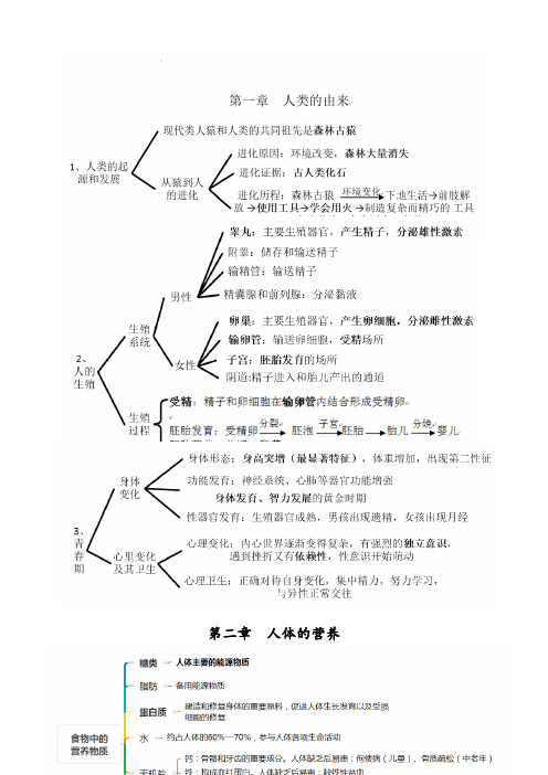 人教版七年级生物下册考点(思维导