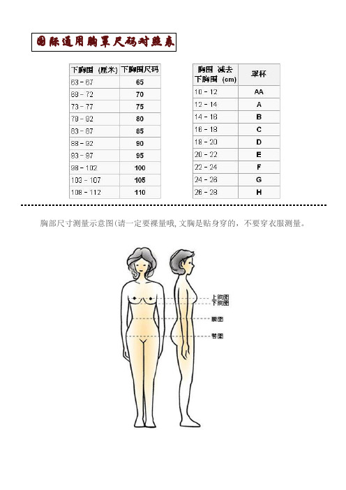 国际通用胸罩尺码对照表 胸部尺寸测量示意图(请一定要裸量哦,文胸是