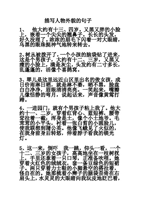 描写人物外貌的句子 1,他大约有十三,四岁.