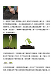 芽菜种植方法图片