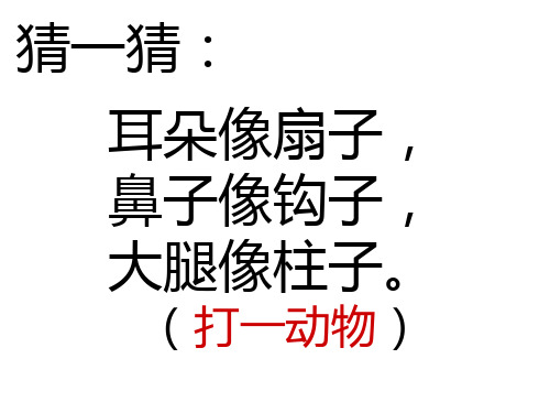 (打一动物) 这么大的象到底有多重呢?