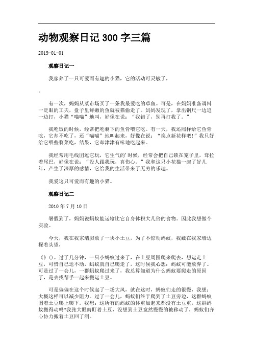 2019-01-01 观察日记一 我家养了一只可爱而有趣的小猫,它的活动可