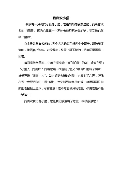 我的小猫作文300 - 百度文库