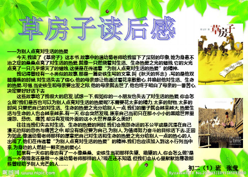 今天,我读了《草房子》这本书,故事中的温幼菊老师给我留下了深刻的