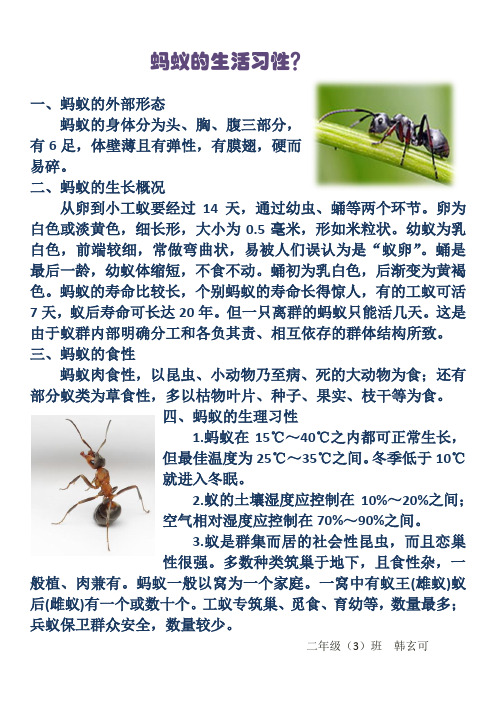 一,蚂蚁的外部形态蚂蚁的身体分为头,胸,腹三部分,有6足,体壁薄且有