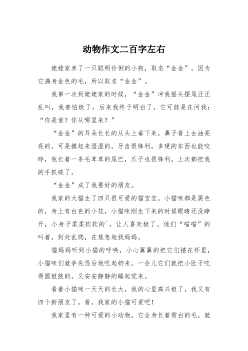 动物作文二百字左右 姥姥家养了一只聪明伶俐的小狗,取名"金金",因为