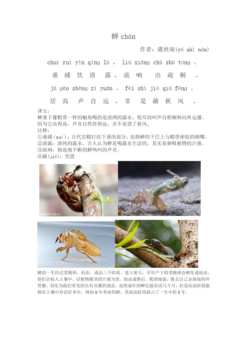 古诗蝉原文带拼音 - 百度文库