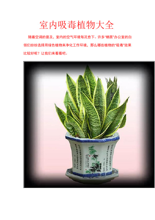 驱蛇植物大全 百度文库