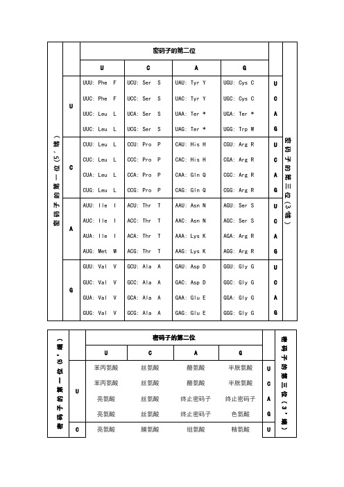 密码子的第一位 (5 端 )|密码子的第二位|密码子的第三位 ( 3 端 )