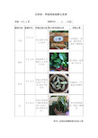 绿萝生长周期记录表图片