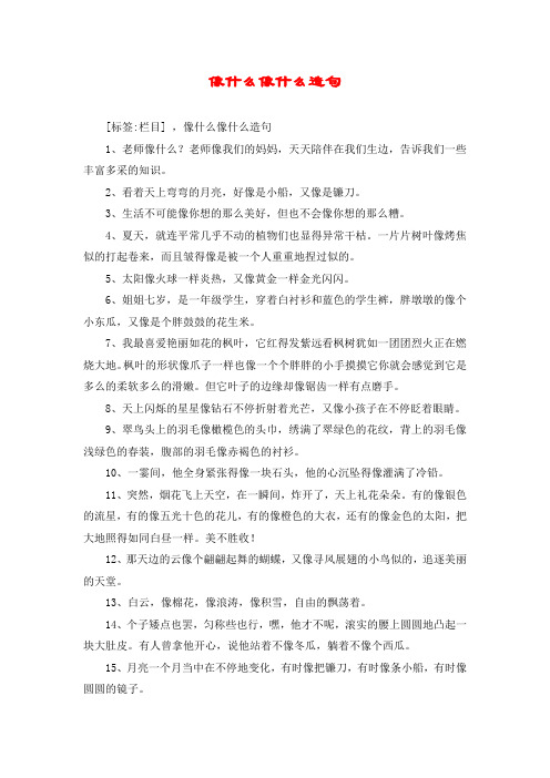 像什么像什么造句 [标签:栏目] ,像什么像什么造句 1,老师像什么?
