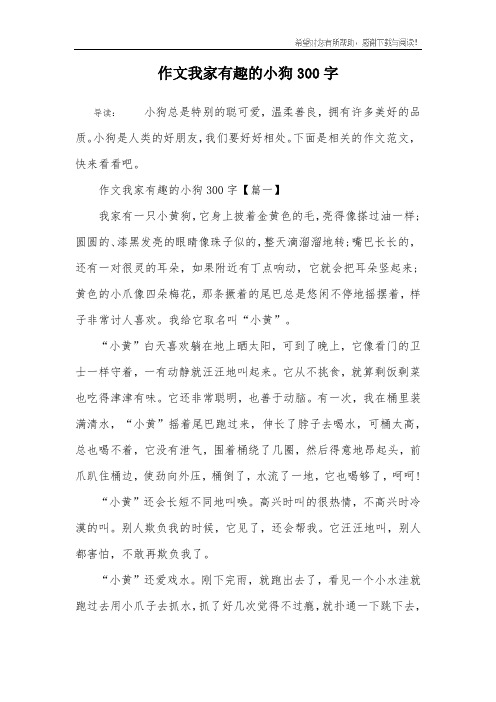观察日记《我家的小狗》300字(观察日记我家的小狗300字左右)