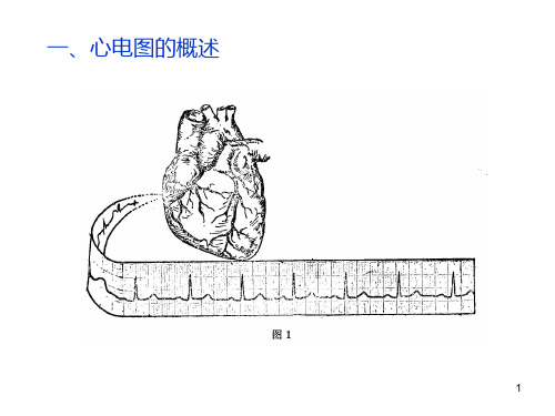 心電圖(英文縮寫ecg,德語為ekg) 是心臟電學活動的記錄. 2 2.