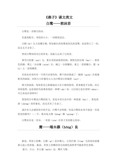 色素的配合,身段的大小,一切都很适宜.