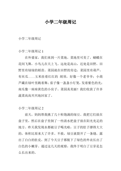 二年级暑假周记怎么写 - 百度文库