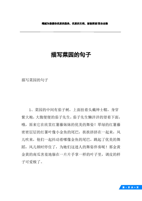 翠绿的红薯藤密密层层的红薯叶像小金鱼的496_702竖版 竖屏