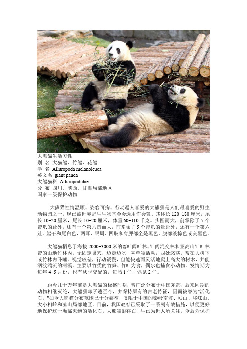 melanleuca英文名giant panda大熊猫科ailurpdidae分布四川,陕西,甘肃