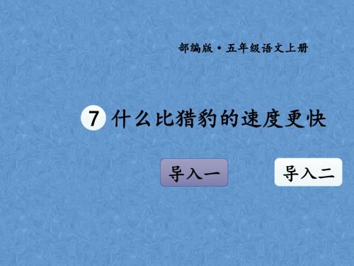 7 什么比猎豹的速度更快 导入一 导入二 初 读课 朗读课文熟悉生字词