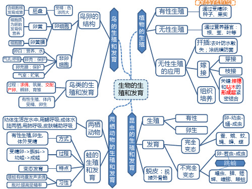 八上生物整本思维导图 - 百度文库
