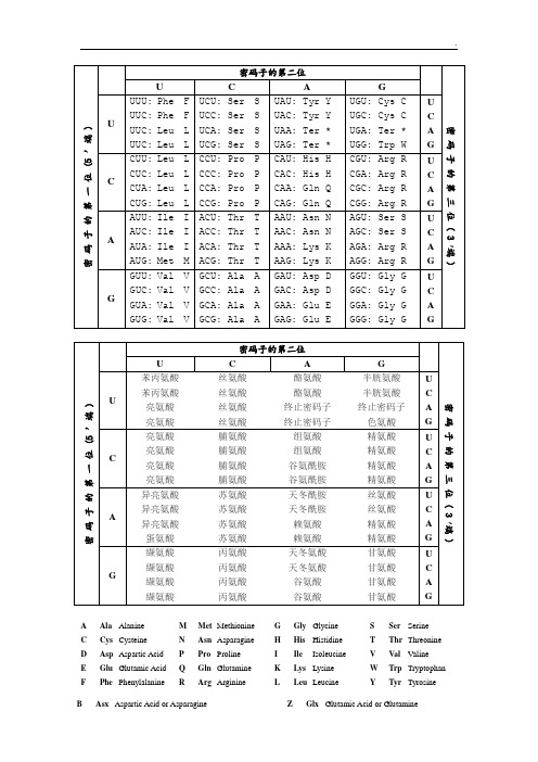 密码子表 - 百度文库
