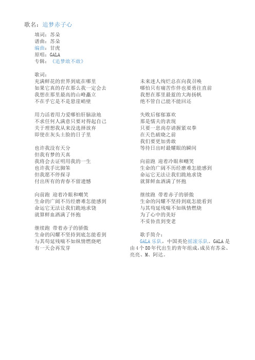 追梦赤子心歌词完整版 - 百度文库