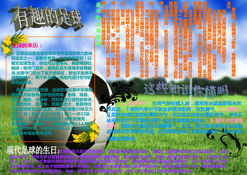 足球的来历: 足球运动是目前全球体育界最具影响力的 体育运动之一,故