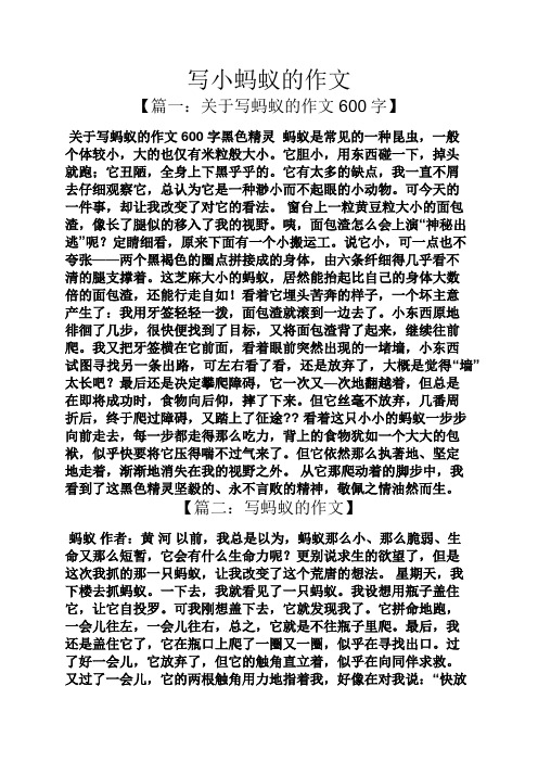 写小蚂蚁的作文 【篇一:关于写蚂蚁的作文600字】 关于写蚂蚁的作文