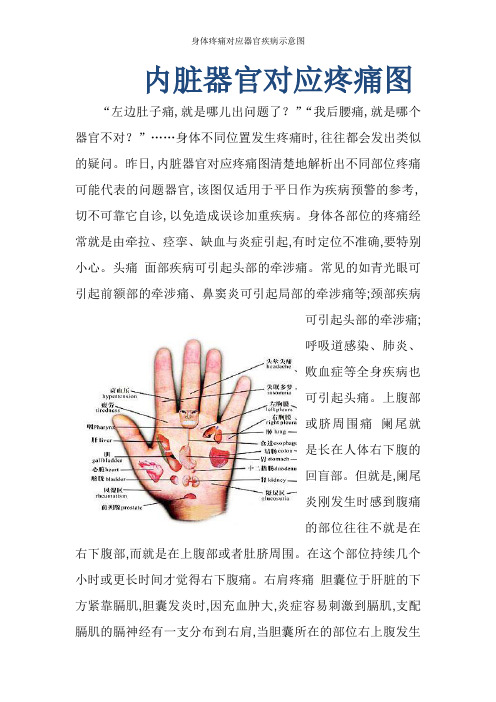 后背疼痛位置图详解