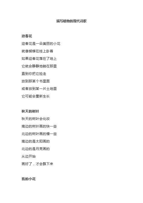 描写植物的现代诗歌 迎春花 迎春花是一朵美丽的小花 就像蝴蝶在枝上