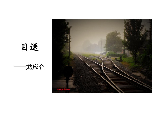 目送——龙应台 华安上小学第一天,我和他手牵着手,穿过好几条 街,到
