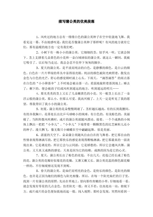 段落 1,风吹过的地方总有一缕缕白色的蒲公英种子在空中轻盈地飞舞