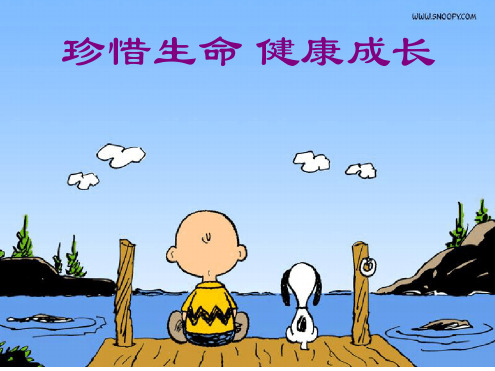 珍惜生命 健康成长 他从12岁起,打板球.