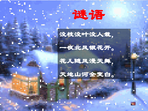 谜语 没枝没叶没人栽, 一夜北风银花开.