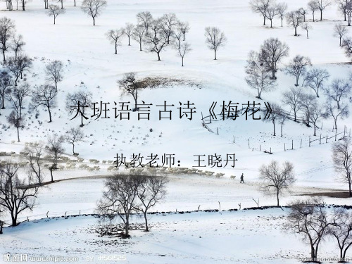 大班语言古诗《梅花》 执教老师:王晓丹 说一说你喜欢的花 现在是什么