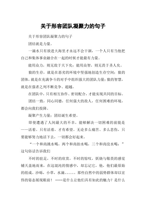 关于形容团队凝聚力的句子 关于形容团队凝聚力的句子团结就是力量.