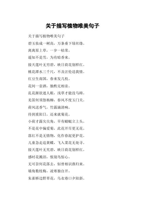 关于描写植物唯美句子 关于描写植物唯美句子碧玉妆成一树高,万条垂下