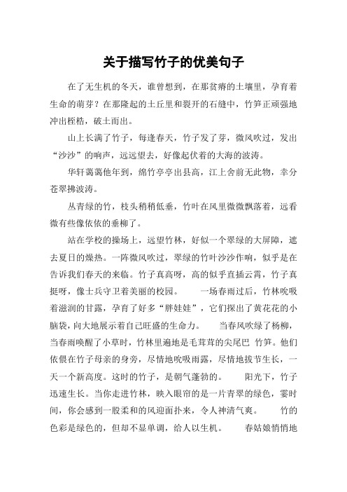 关于描写竹子的优美句子 在了无生机的冬天,谁曾想到,在那贫瘠的土壤