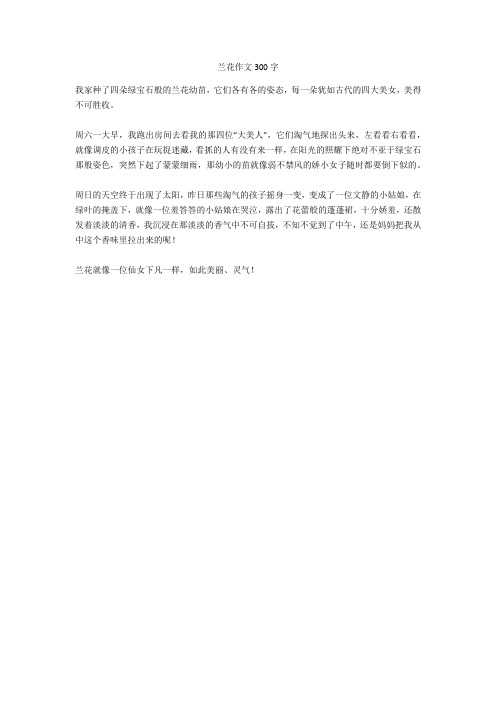 兰花作文300字 我家种了四朵绿宝石般的兰花幼苗,它们各有各的姿态,每