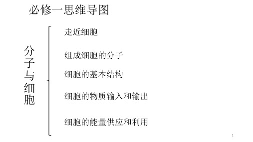 細胞的物質輸入和輸出 細胞的能量供應和利用 1 走進細胞從細胞到生物