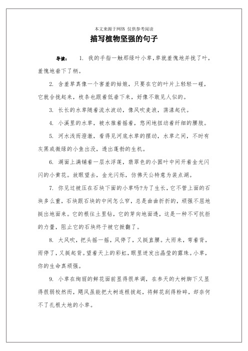 描写植物坚强的句子 导读:1.