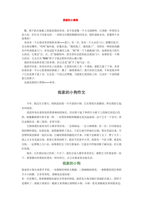 我家的小黑狗| 瞧,那个趴在地板上的就是我的奇奇,是不是很像一个大