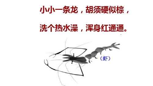 小虾公开课教学设计 - 百度文库