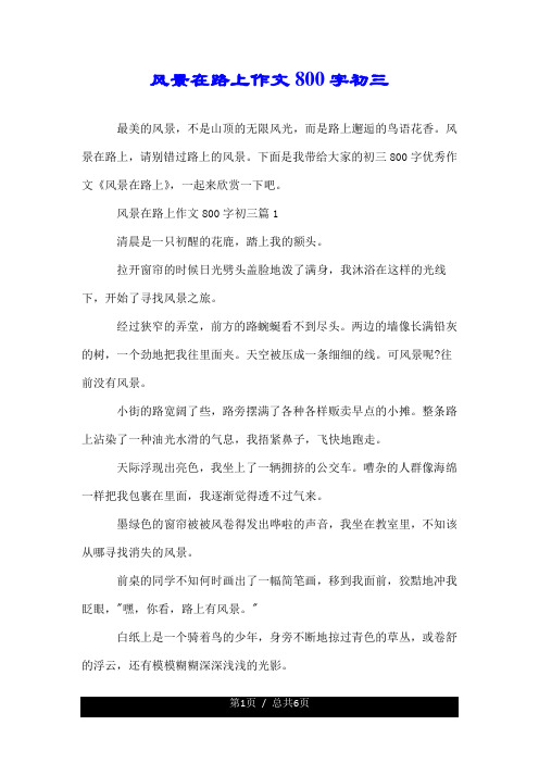 风景在路上作文800字初三 最美的风景,不是山顶的无限风光,而是路上