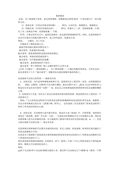 修辞精讲 .
